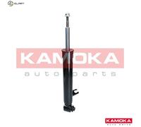 SHOCK ABSORBER 2000666 FOR BMW X5/SAV/E70 X6/SAC/E71/E72 N57D30C/A/B M57D30 3.0L