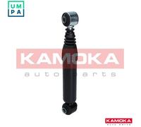 REAR AXLE SHOCK ABSORBER 2000971