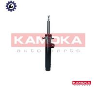SHOCK ABSORBER 2001112 FOR BMW N20B16A 1.6L N46B20B/CC/CD/E/BD/C N47D20CA 2.0L