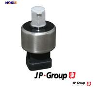 JP GROUP 3142102970 Shock absorber