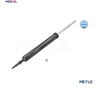 SHOCK ABSORBER 326 725 0016 FOR BMW N46B20E/B20CC/B20CB 2.0L 4cyl 3 SERIES 2.5L