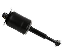 Shock Absorber for MAN SACHS 350 076