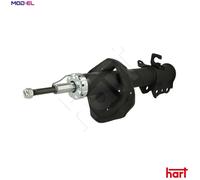 SHOCK ABSORBER 810 078