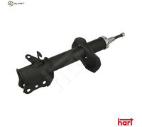 SHOCK ABSORBER 810 079