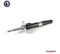 SHOCK ABSORBER AGB033MT FOR BMW N46B20C/A M47D20 N42B20A 2.0L 4cyl M57D30 3.0L