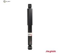 Shock Absorber Magnum Technology AGF095MT