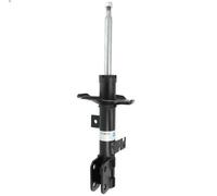 BILSTEIN 22-184221 Shock absorber