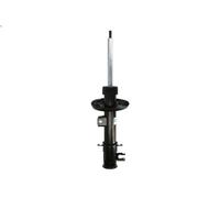 Shock absorber BILSTEIN 22-189271