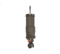 Cab suspension MONROE CB0195