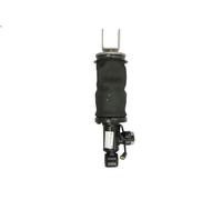 Shock Absorber, driver cab suspensio SACHS 319 864