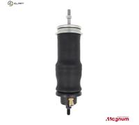 Magnum Technology MC165 Shock Absorber, cab suspension