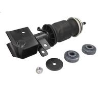 Shock Absorber, driver cab suspension MONROE CB0070 for MAGNUM 11.929 1996-