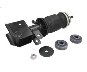 Shock Absorber, driver cab suspension MONROE CB0070 for MAGNUM 11.929 1996-