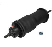 Monroe Cab Damper Magnum CB0172 - Shock Absorber for Cab Suspension (Single)