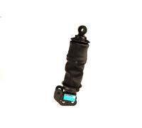 Shock Absorber, driver cab suspension SACHS 313 072 PREMIUM 6.177 1996-