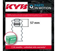 Shock Absorber Dust Cover Kit Front 910356 KYB Protect 3C0412303C 1K0412303AE