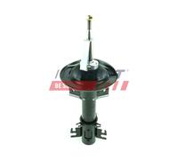 Shock Absorber FAST FT11317
