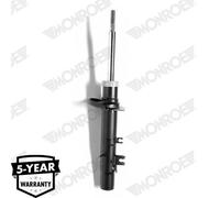 MONROE G16450 Shock absorber