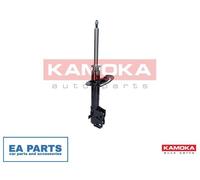 Shock Absorber for DODGE KAMOKA 2000318 fits Front Axle Left