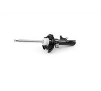 KRAFT 4006334 Shock absorber