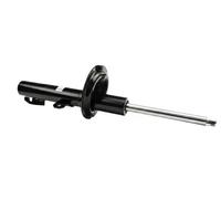 FAST FT11116 Shock absorber