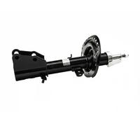 FAST FT11130 Shock absorber