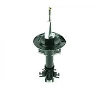 Shock Absorber FAST FT11317