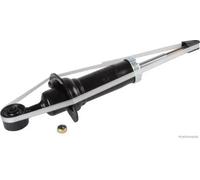 Shock absorber Front Axle Left Top pin J4301006 HERTH+BUSS JAKOPARTS for NISSAN