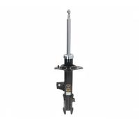 ASHIKA MA-HY055 Shock absorber