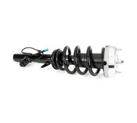 Arnott Shock Absorber Front Axle Left SK-3605 Top Pin for BMW X5/X6