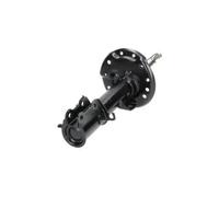 KAVO PARTS SSA-10004 Shock absorber