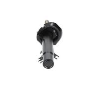 KAVO PARTS SSA-10056 Shock absorber