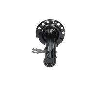 KAVO PARTS SSA-10094 Shock absorber