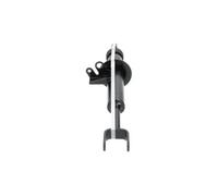 Shock Absorber for BMW:5,F10 31316775575 31316777203 31316789363 31316789365