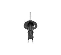 KAVO PARTS SSA-10479 Shock absorber