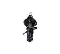 KAVO PARTS SSA-10800 Shock absorber