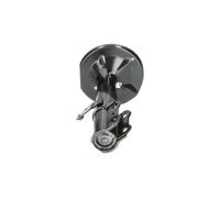 KAVO PARTS SSA-9031 Shock absorber