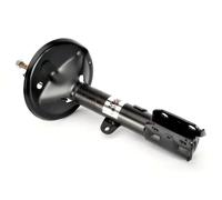 Shock absorber MAGNUM TECHNOLOGY AG2114MT