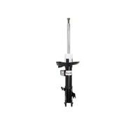 Magnum Technology AGG150MT Shock Absorber for FORD