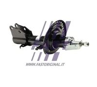 FAST FT11130 Shock absorber