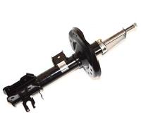 Shock absorber Front Axle Right Top pin FT11303 FAST for FIAT FORD