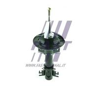 Shock Absorber FAST FT11317