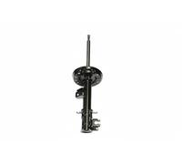 ASHIKA MA-00819 Shock absorber