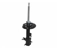 ASHIKA MA-10039 Shock absorber