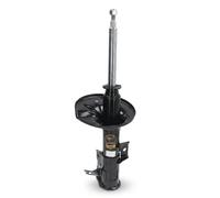 ASHIKA MA-50003 Shock absorber