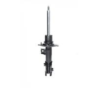 ASHIKA MA-HY076 Shock absorber