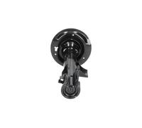 KAVO PARTS SSA-4002 Shock absorber