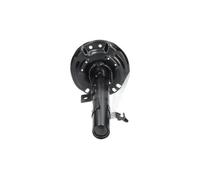 KAVO PARTS SSA-6595 Shock absorber