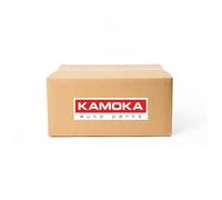 Shock absorber Front Axle Top pin 2000159 KAMOKA for RENAULT CLIO IV