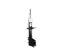 Shock absorber MAGNUM TECHNOLOGY AGF100MT